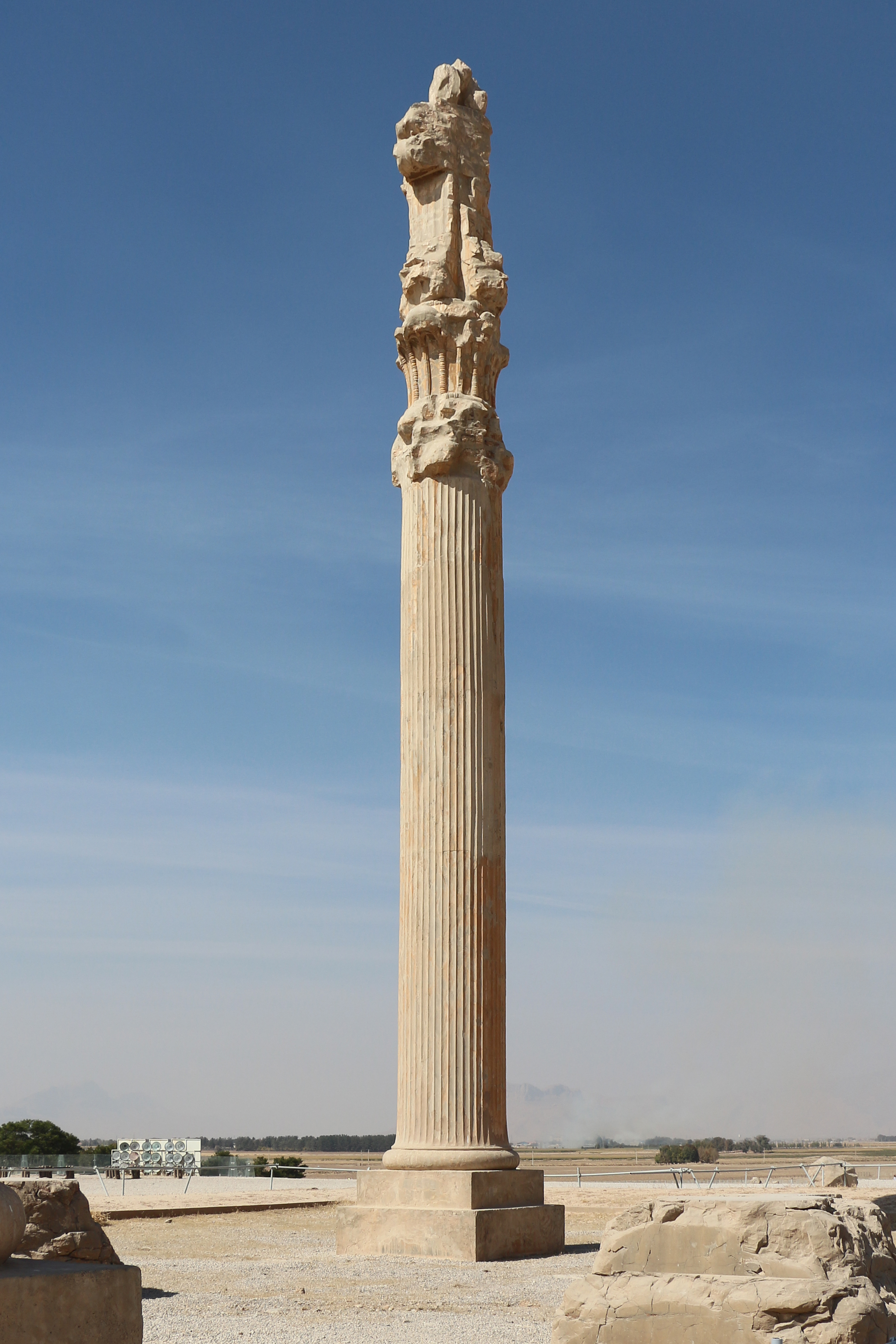 The Apadana Columns — Sixty-five feet of fluted stone, crowned with twin bulls, that once bore the cedar roof of the audience hall.